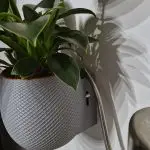 Aqua Level – Self-Watering Planter with Indicator