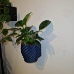 Aqua Level Swirl – Selbstbewässerungstopf