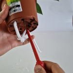 Aqua Level Swirl – Selbstbewässerungstopf