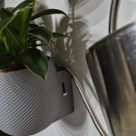 Aqua Level Mesh – Selbstbewässerungstopf