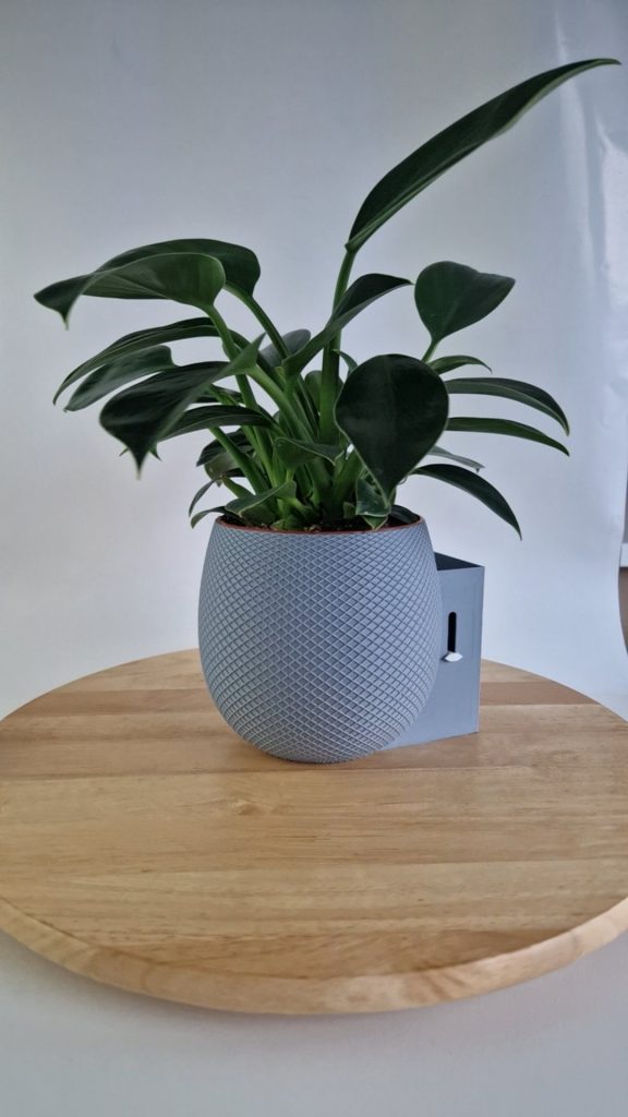 Aqua Level Mesh – Selbstbewässerungstopf